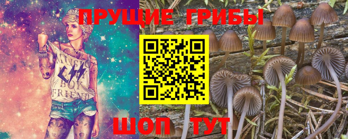 Галлюциногенные грибы Magic Shrooms Партизанск