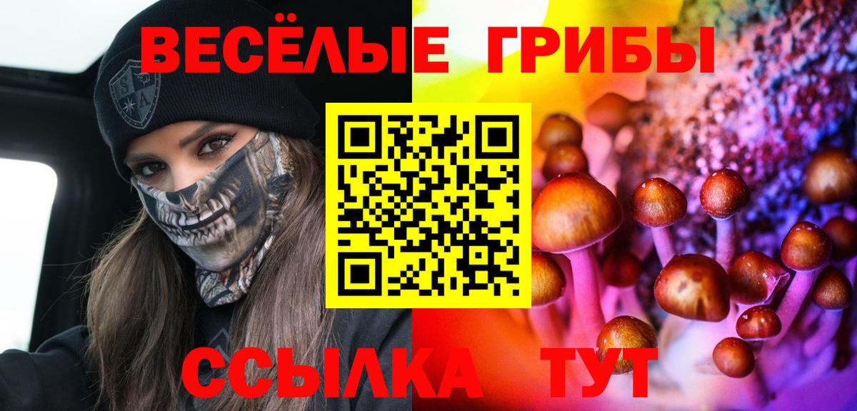 Псилоцибиновые грибы MAGIC MUSHROOMS  Вход с VPN  Партизанск  Псилоцибиновые грибы Cubensis 